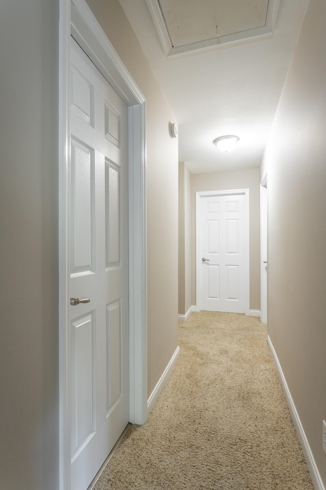 hallway with carpet floors