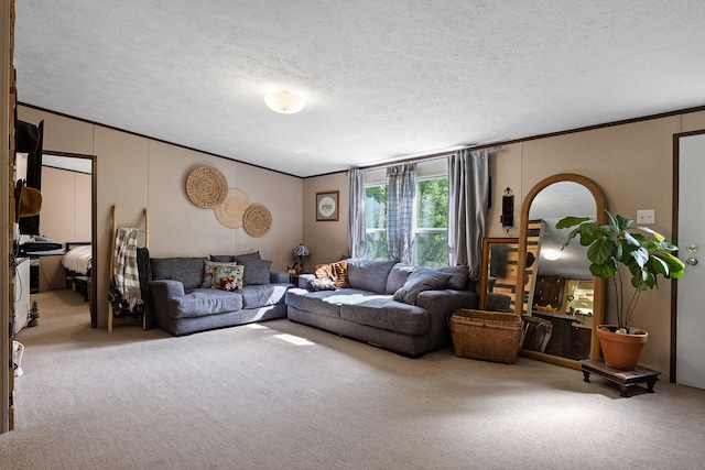 carpeted living room with a textured ceiling and crown molding