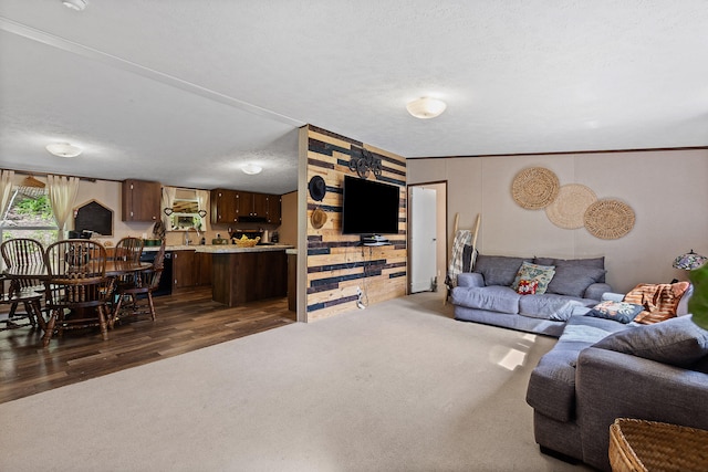 living room featuring ornamental molding, a textured ceiling, and dark hardwood / wood-style flooring