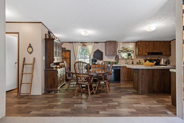 kitchen with a textured ceiling, dishwasher, and dark hardwood / wood-style floors