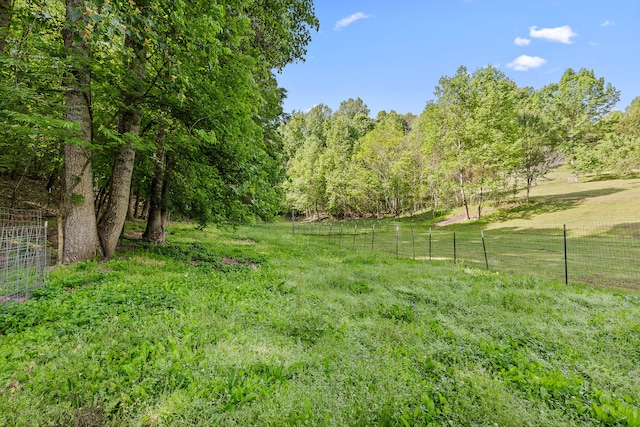 view of yard with a rural view