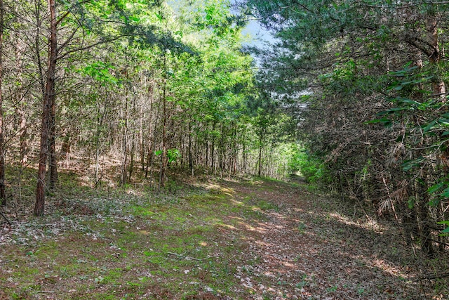 view of landscape