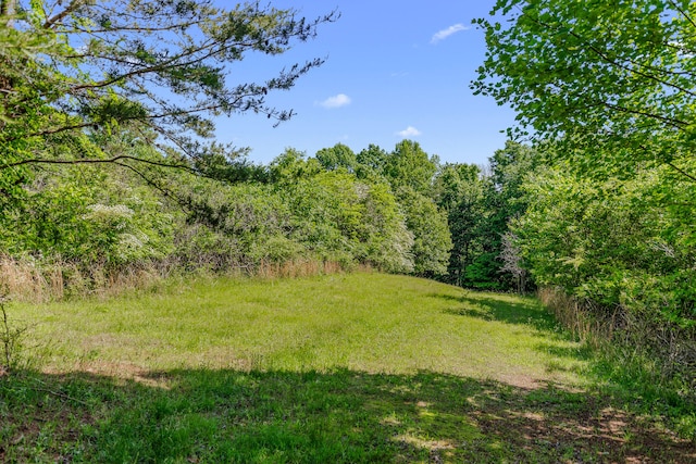 view of local wilderness