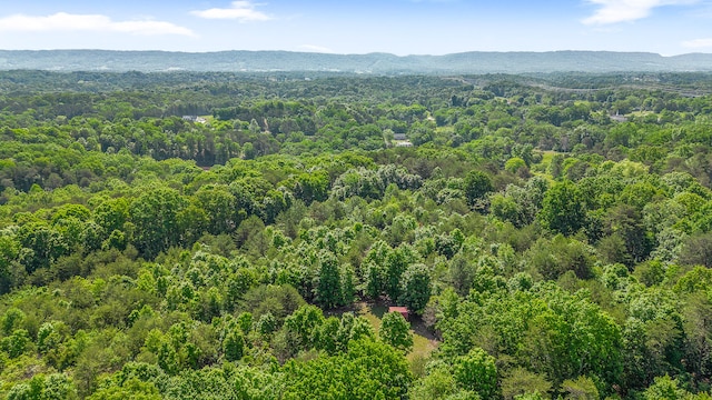 drone / aerial view with a mountain view