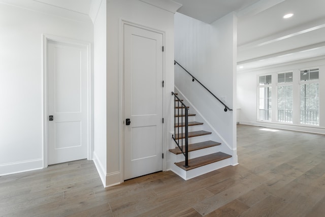 stairway with hardwood / wood-style floors