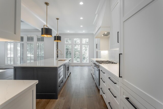 kitchen featuring dark hardwood / wood-style floors, sink, an island with sink, and white cabinets