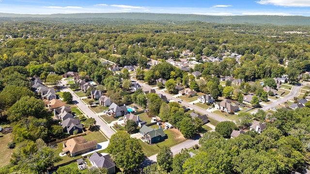 drone / aerial view