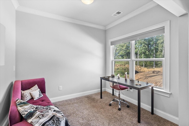 office space with carpet and ornamental molding