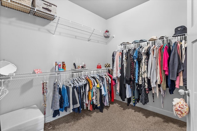 walk in closet featuring carpet flooring