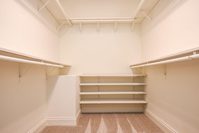 spacious closet featuring light carpet