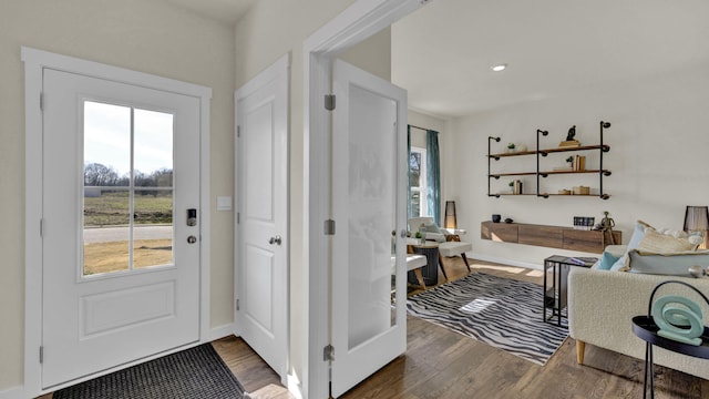 entryway featuring wood-type flooring