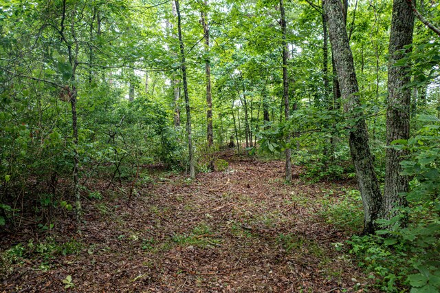 LOT26 Gray Rock Vw, Pikeville, TN 37367 - photo 4