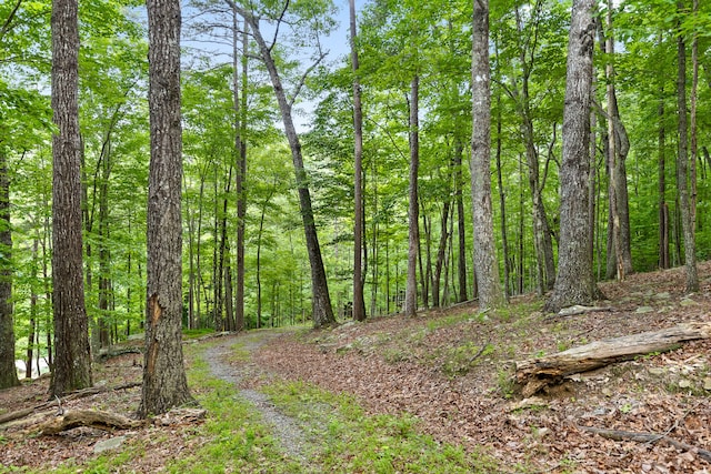 Listing photo 2 for LOT205 Deep Woods Dr, Dunlap TN 37327