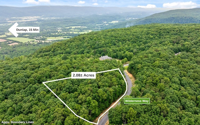 Listing photo 3 for LOT542 Wilderness Way, Dunlap TN 37327