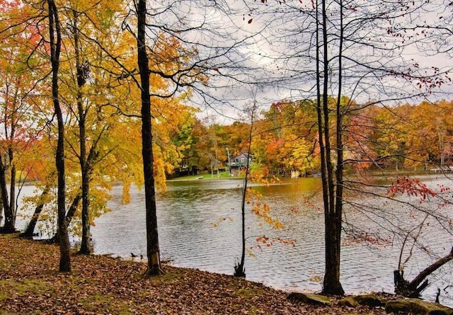 property view of water