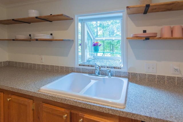 kitchen with ornamental molding and sink