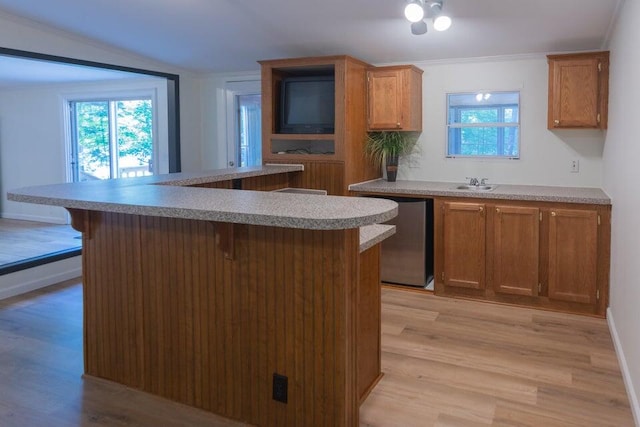 kitchen featuring light wood-type flooring, a breakfast bar area, a wealth of natural light, and stainless steel dishwasher