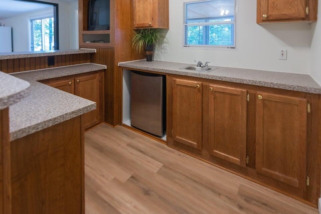 kitchen with dishwasher, plenty of natural light, light hardwood / wood-style flooring, and sink