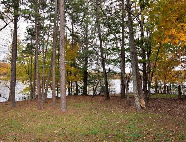 view of yard featuring a water view