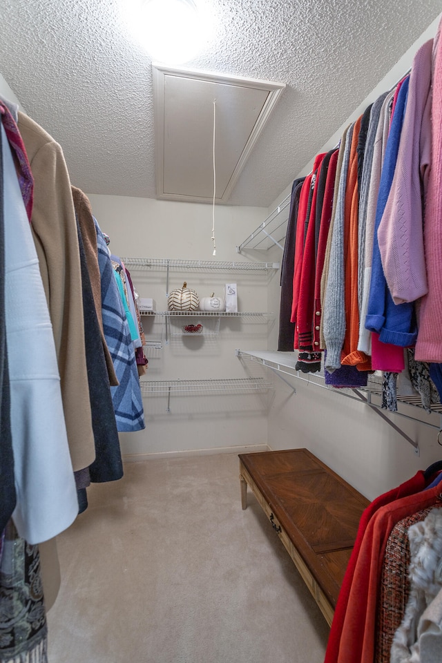 walk in closet with light carpet