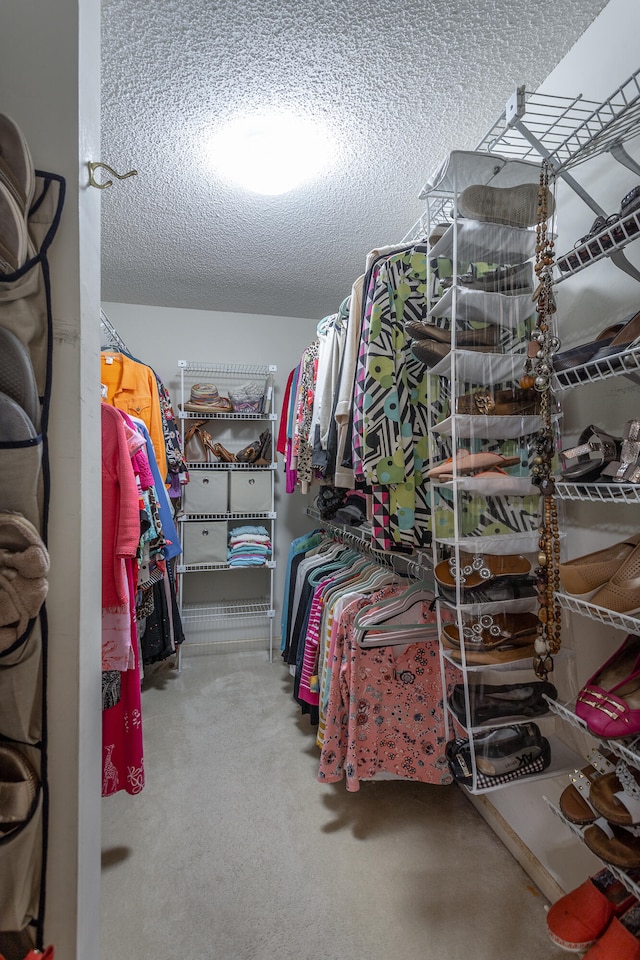 spacious closet featuring carpet flooring