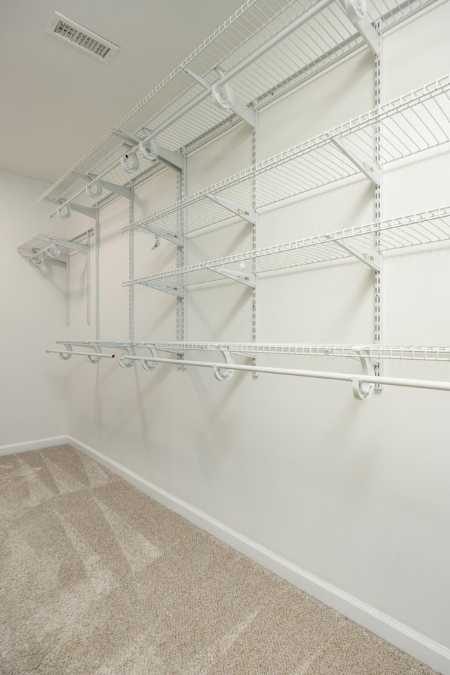 walk in closet with carpet floors