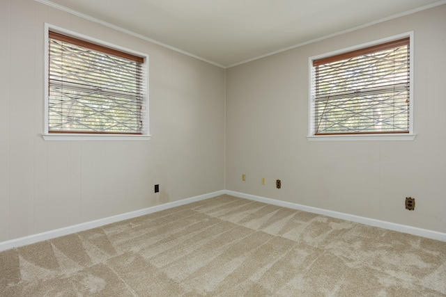 empty room featuring crown molding, carpet flooring, and plenty of natural light