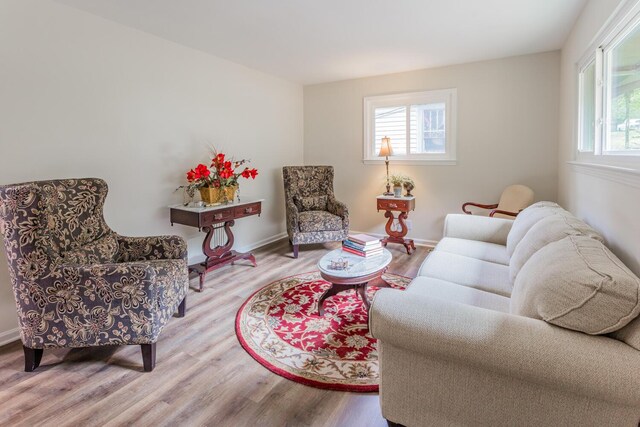 living room with light hardwood / wood-style flooring