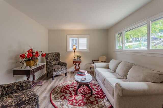 living room with light hardwood / wood-style floors