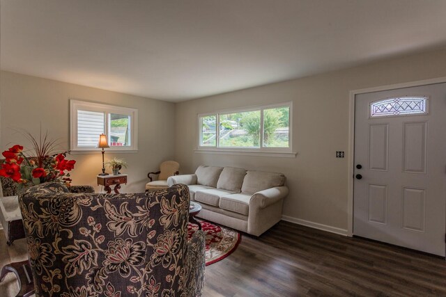 living room featuring dark hardwood / wood-style floors