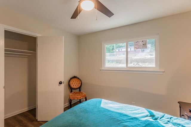 bedroom featuring ceiling fan, a closet, and dark hardwood / wood-style flooring