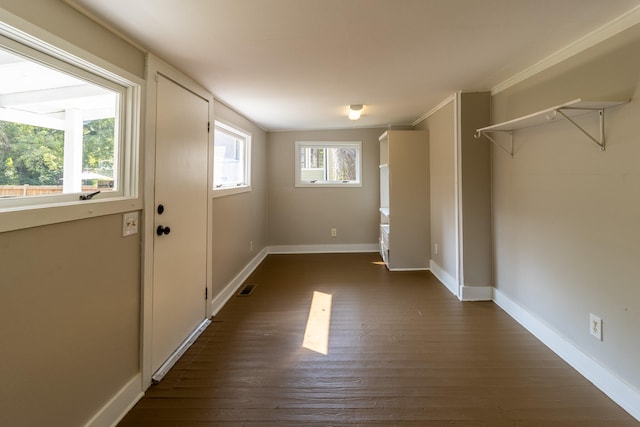 interior space with dark wood-type flooring and a healthy amount of sunlight