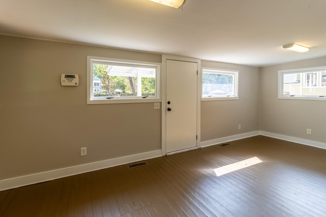 foyer featuring dark hardwood / wood-style flooring and a wealth of natural light