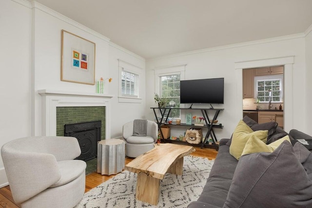 living room with light hardwood / wood-style floors, a brick fireplace, and plenty of natural light