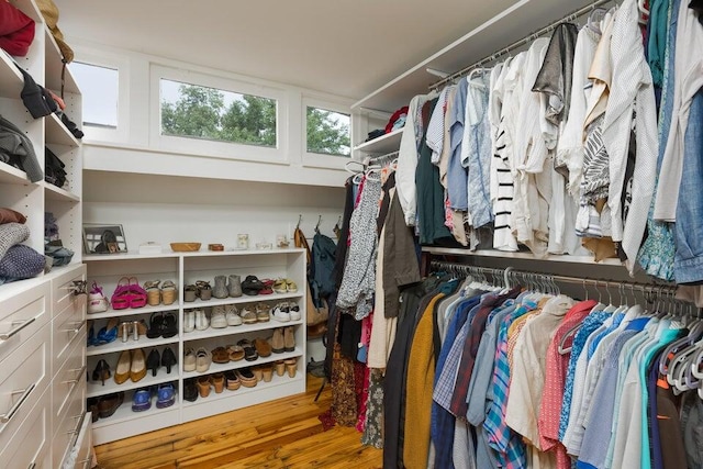 spacious closet featuring hardwood / wood-style flooring