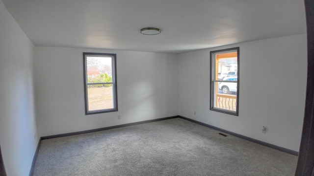 spare room featuring light colored carpet and a wealth of natural light