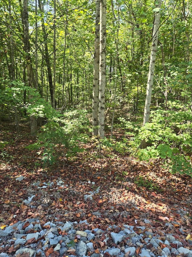 Listing photo 2 for 0 Raven Cliff Rd, Graysville TN 37338