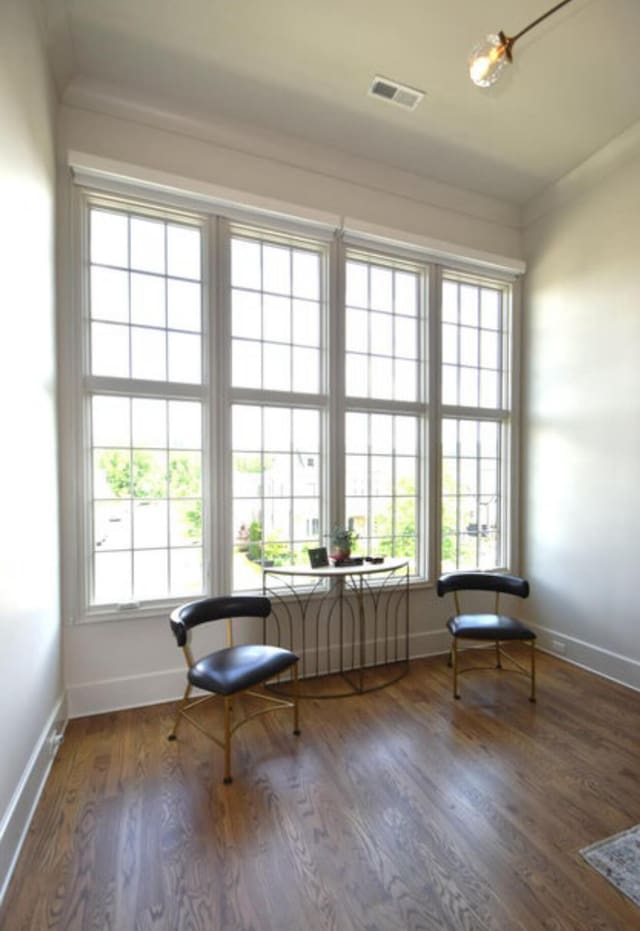 unfurnished room featuring a healthy amount of sunlight and dark hardwood / wood-style flooring