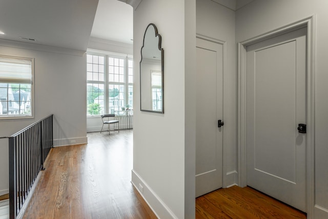 hallway featuring wood-type flooring and ornamental molding