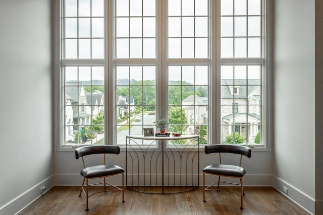 sitting room featuring plenty of natural light and wood-type flooring