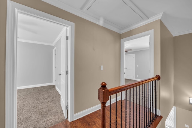 corridor with crown molding and hardwood / wood-style floors