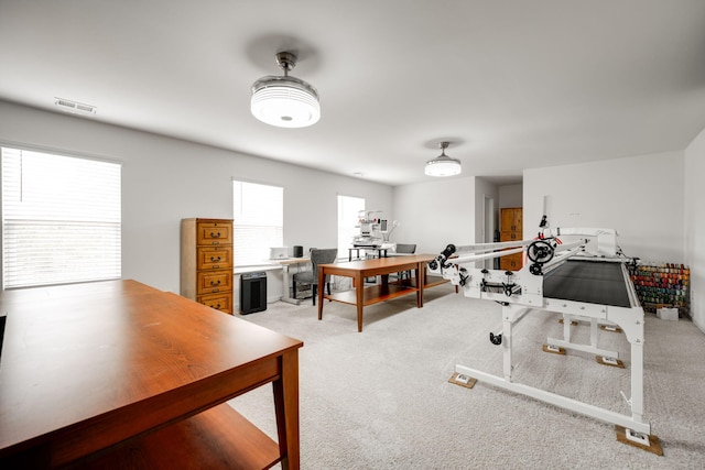 view of carpeted home office