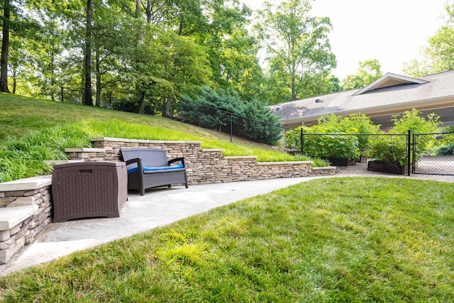 view of yard featuring a patio area