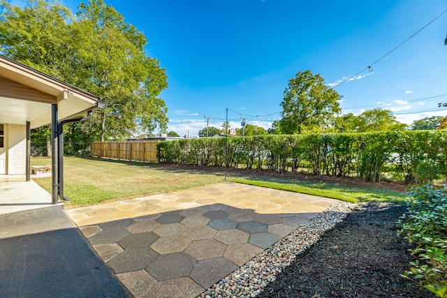 view of yard featuring a patio