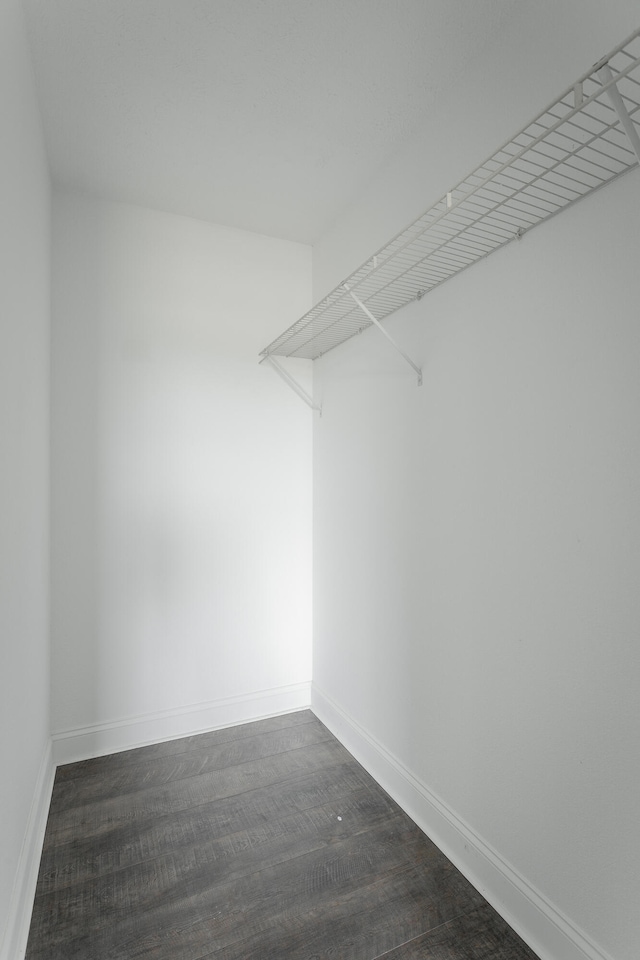 walk in closet featuring dark wood-type flooring