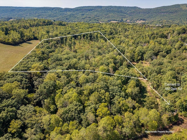 0 Mill Dam Rd, Pikeville TN, 37367 land for sale