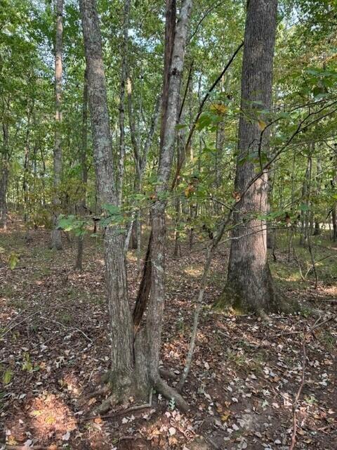 LOT141 Camp Creek Cir, Spencer, TN 38585