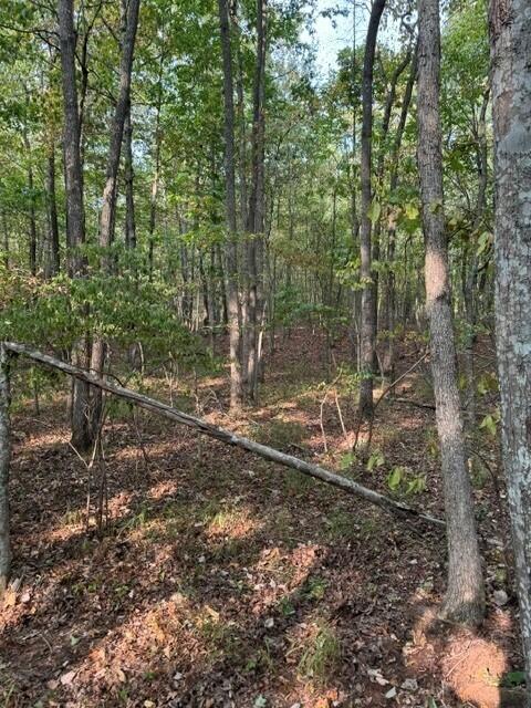 LOT141 Camp Creek Cir, Spencer, TN 38585