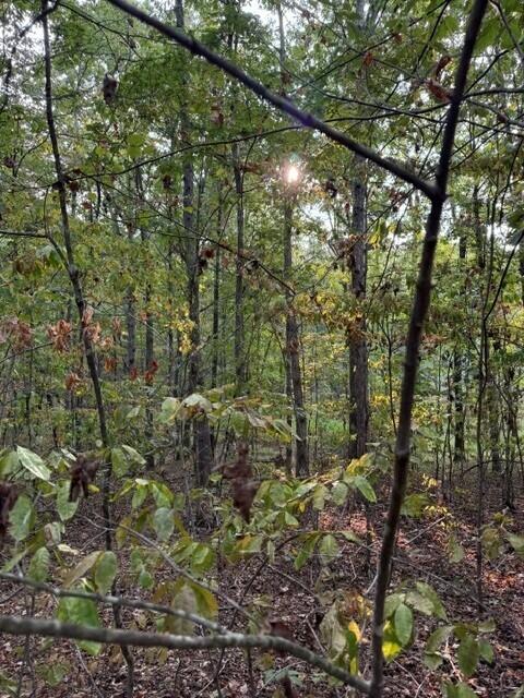 LOT141 Camp Creek Cir, Spencer, TN 38585