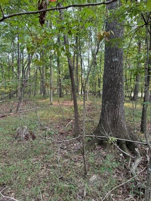 LOT141 Camp Creek Cir, Spencer, TN 38585